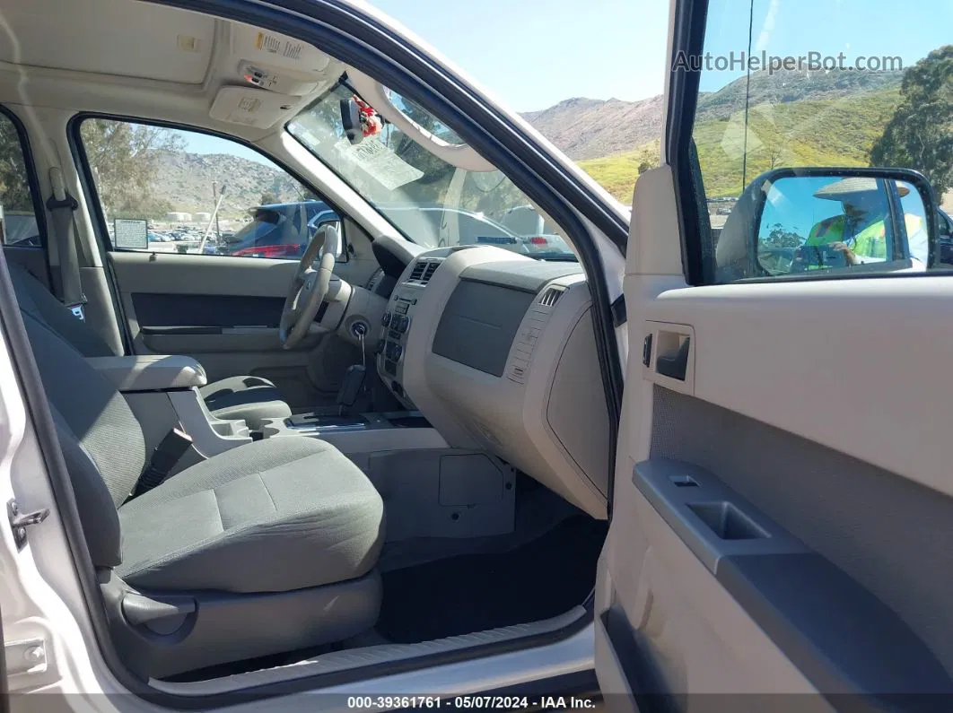 2009 Ford Escape Xlt Белый vin: 1FMCU03729KA60062