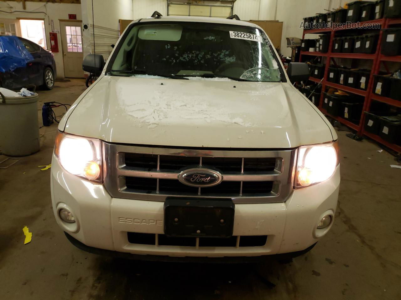 2009 Ford Escape Xlt Белый vin: 1FMCU03729KC66062