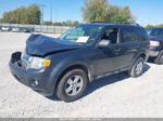 2009 Ford Escape Xlt Синий vin: 1FMCU03729KD00629