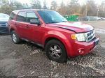 2009 Ford Escape Xlt Red vin: 1FMCU03729KD05264