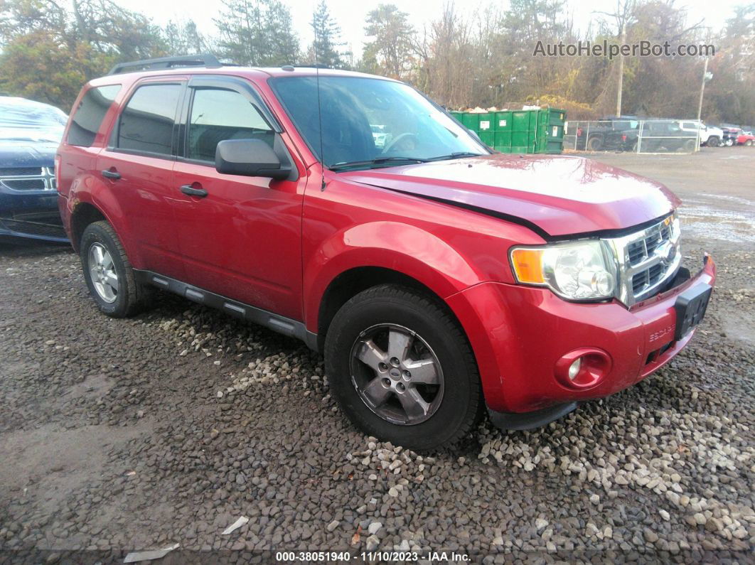 2009 Ford Escape Xlt Red vin: 1FMCU03729KD05264