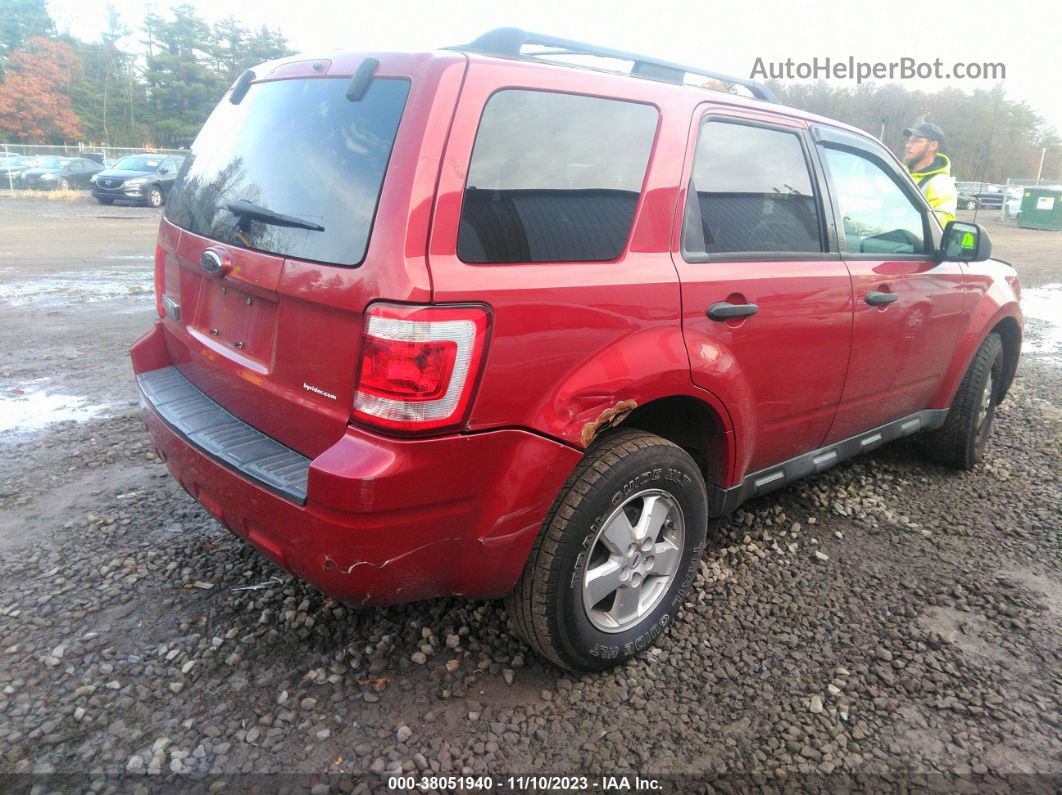 2009 Ford Escape Xlt Red vin: 1FMCU03729KD05264
