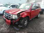 2009 Ford Escape Xlt Red vin: 1FMCU03729KD05264