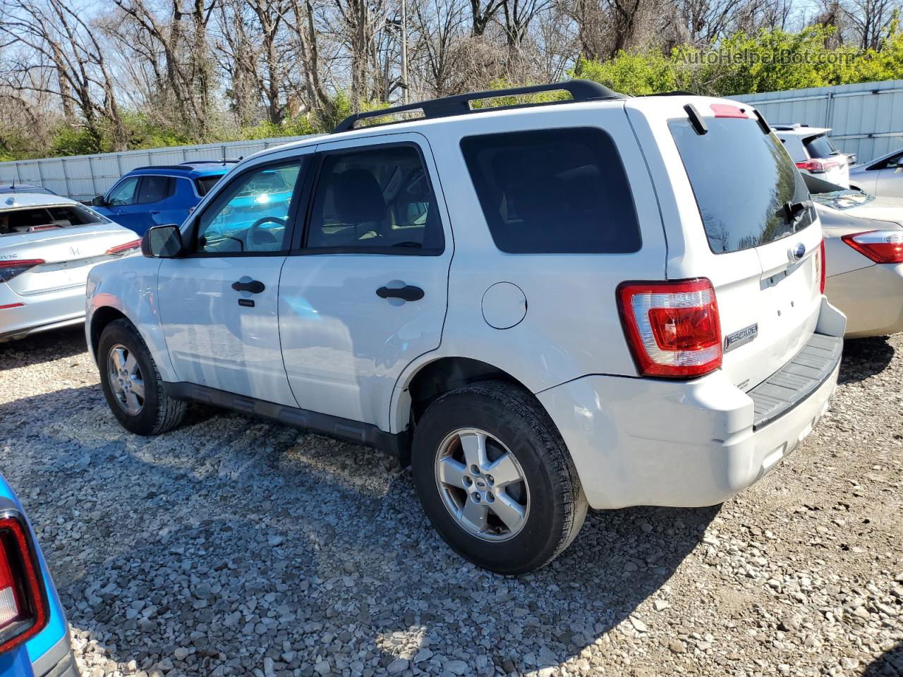 2009 Ford Escape Xlt White vin: 1FMCU03729KD06852