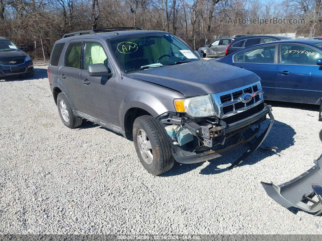 2009 Ford Escape Xlt Серый vin: 1FMCU03739KB78931