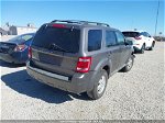 2009 Ford Escape Xlt Gray vin: 1FMCU03739KB78931