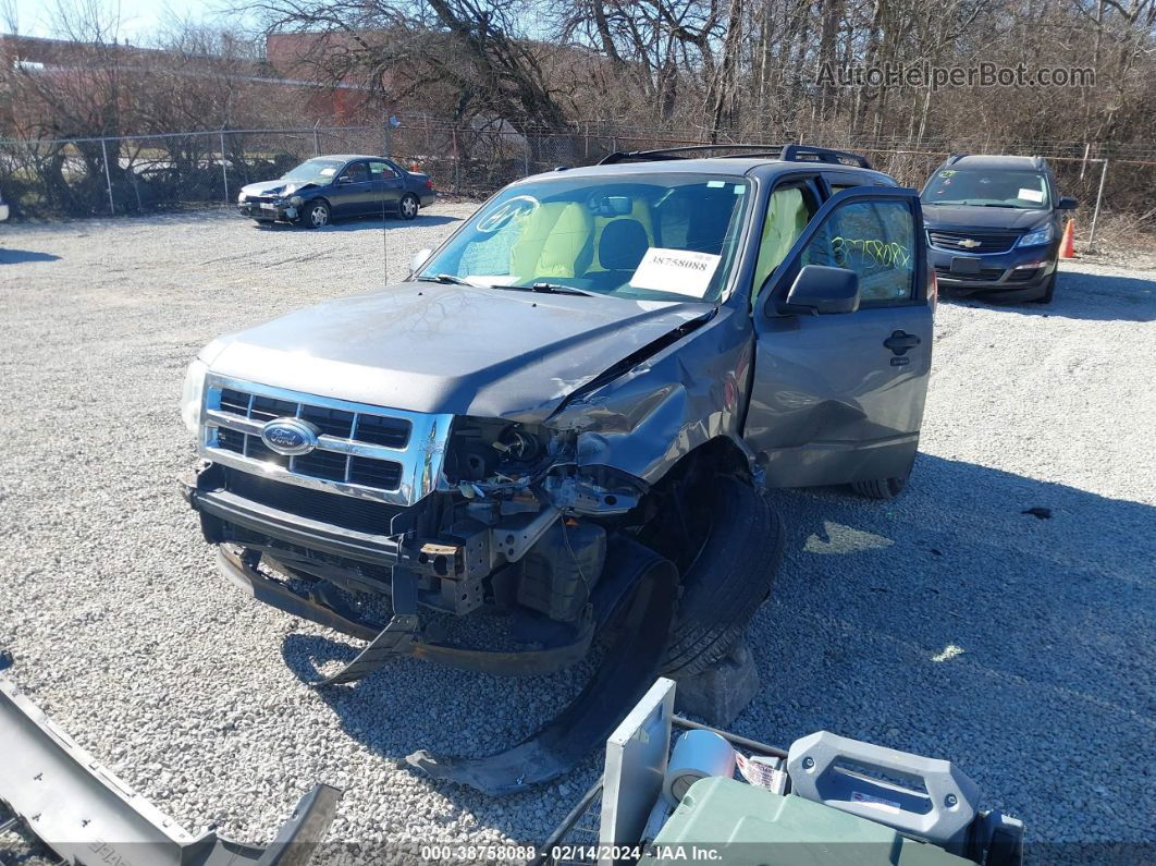 2009 Ford Escape Xlt Серый vin: 1FMCU03739KB78931