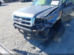 2009 Ford Escape Xlt Gray vin: 1FMCU03739KB78931