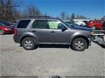 2009 Ford Escape Xlt Gray vin: 1FMCU03739KB78931