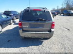 2009 Ford Escape Xlt Gray vin: 1FMCU03739KB78931