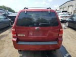 2009 Ford Escape Xlt Красный vin: 1FMCU03739KB80002