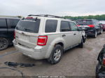 2009 Ford Escape Xlt White vin: 1FMCU03739KC66443