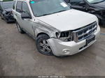 2009 Ford Escape Xlt White vin: 1FMCU03739KC66443