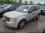 2009 Ford Escape Xlt White vin: 1FMCU03739KC66443