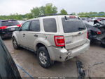 2009 Ford Escape Xlt White vin: 1FMCU03739KC66443