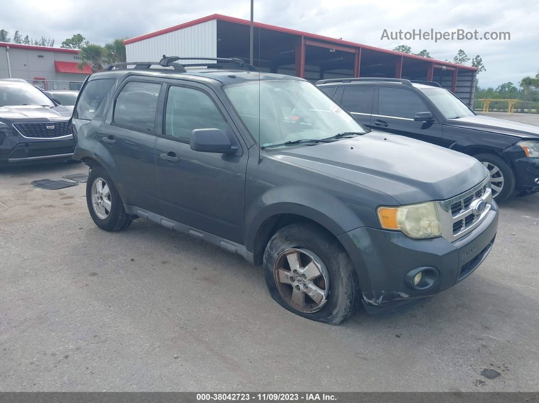 2009 Ford Escape Xlt Blue vin: 1FMCU03749KA19674