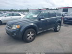 2009 Ford Escape Xlt Blue vin: 1FMCU03749KA19674