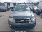 2009 Ford Escape Xlt Blue vin: 1FMCU03749KA19674