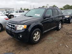 2009 Ford Escape Xlt Черный vin: 1FMCU03749KA50939