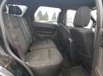 2009 Ford Escape Xlt Черный vin: 1FMCU03749KA50939