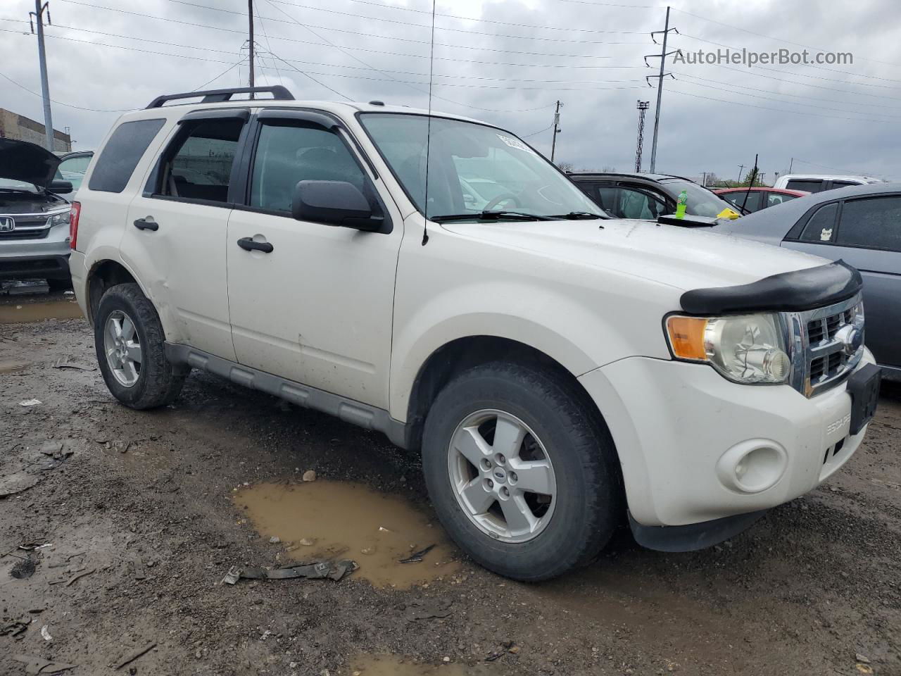 2009 Ford Escape Xlt Белый vin: 1FMCU03749KB40138