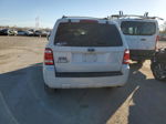 2009 Ford Escape Xlt Белый vin: 1FMCU03749KC67553