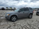 2009 Ford Escape Xlt Gray vin: 1FMCU03759KA62520