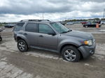 2009 Ford Escape Xlt Gray vin: 1FMCU03759KA62520