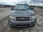 2009 Ford Escape Xlt Gray vin: 1FMCU03759KA62520