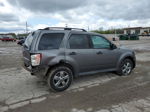 2009 Ford Escape Xlt Gray vin: 1FMCU03759KA62520