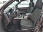 2009 Ford Escape Xlt Gray vin: 1FMCU03759KA62520