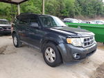 2009 Ford Escape Xlt Синий vin: 1FMCU03759KD05355