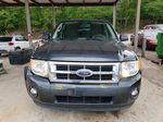 2009 Ford Escape Xlt Синий vin: 1FMCU03759KD05355