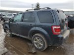 2009 Ford Escape Xlt Gray vin: 1FMCU03759KD06120
