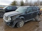 2009 Ford Escape Xlt Gray vin: 1FMCU03759KD06120