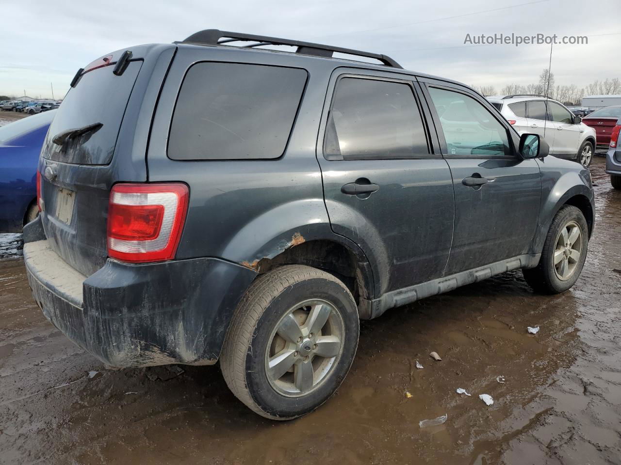 2009 Ford Escape Xlt Gray vin: 1FMCU03759KD06120