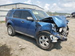 2009 Ford Escape Xlt Синий vin: 1FMCU03769KA33060