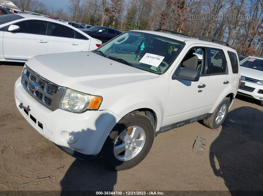 2009 Ford Escape Xlt White vin: 1FMCU03769KA57181