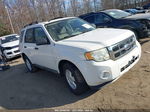 2009 Ford Escape Xlt White vin: 1FMCU03769KA57181