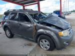 2009 Ford Escape Xlt Gray vin: 1FMCU03769KA58315