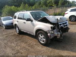 2009 Ford Escape Xlt Бежевый vin: 1FMCU03769KA88057