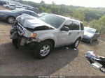 2009 Ford Escape Xlt Бежевый vin: 1FMCU03769KA88057