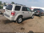 2009 Ford Escape Xlt Beige vin: 1FMCU03769KA88057