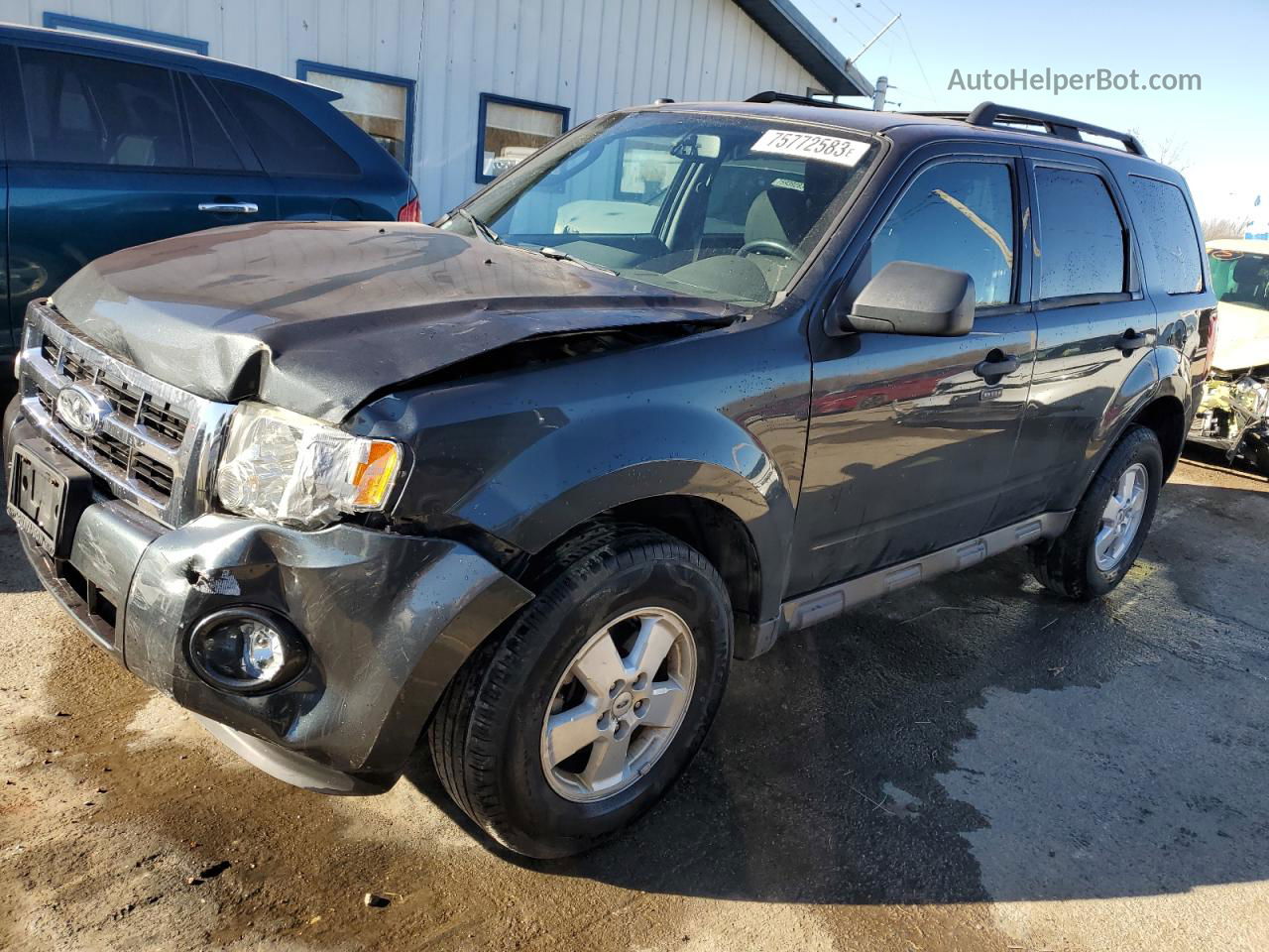 2009 Ford Escape Xlt Gray vin: 1FMCU03769KB22451