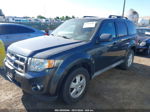 2009 Ford Escape Xlt Gray vin: 1FMCU03769KB28671