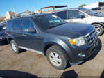 2009 Ford Escape Xlt Черный vin: 1FMCU03769KB28671