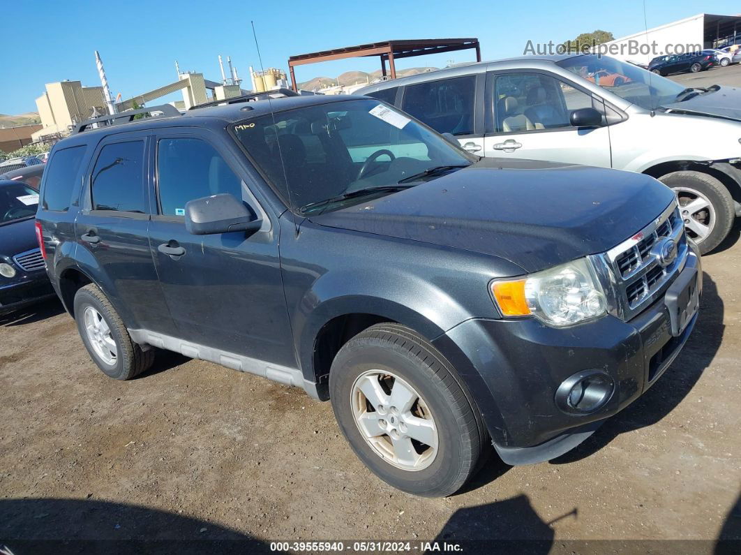 2009 Ford Escape Xlt Gray vin: 1FMCU03769KB28671