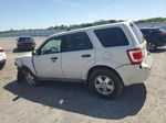 2009 Ford Escape Xlt White vin: 1FMCU03769KC47143