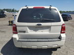 2009 Ford Escape Xlt White vin: 1FMCU03769KC47143