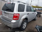 2009 Ford Escape Xlt Silver vin: 1FMCU03769KD06756